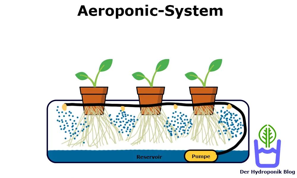 Funktionsweise von Aeroponic-Systemen.