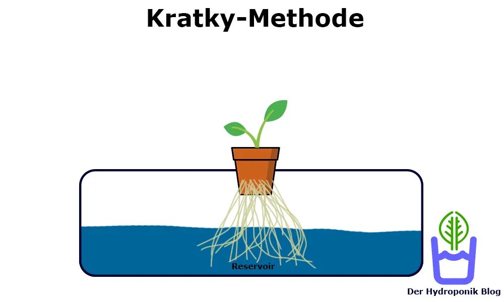 Bei der Kratky-Methode lässt du die Pflanze die Nährlösung nach und anch aufbrauchen. Durch den niedrigen Füllstand kann die Pflanze Sauerstoff aufnehmen.