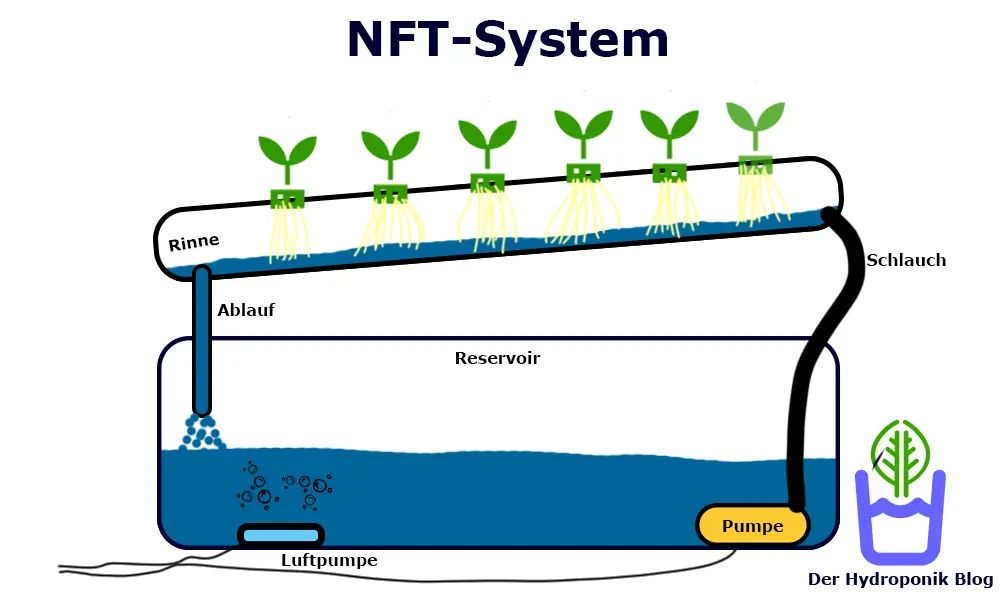 Funktionsweise der Nutrient Film Technique (NFT)