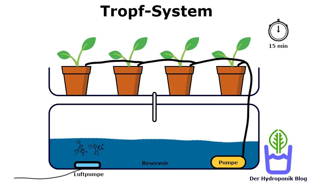 Das Tropf-System versorgt die einzelnen Töpfe mit Nährstofflösung.